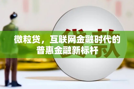 定兴微粒贷，互联网金融时代的普惠金融新标杆