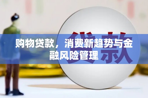 定兴购物贷款，消费新趋势与金融风险管理