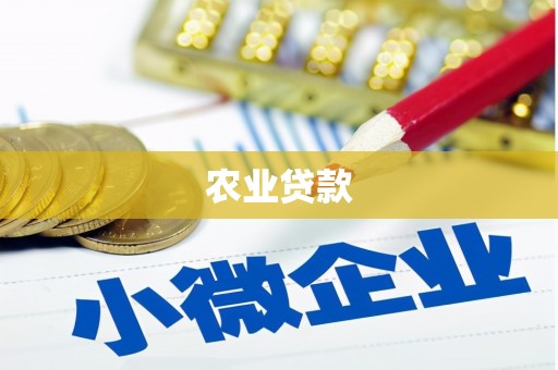 定兴农业贷款