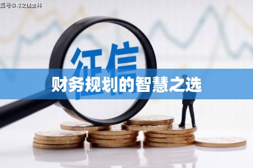 定兴财务规划的智慧之选