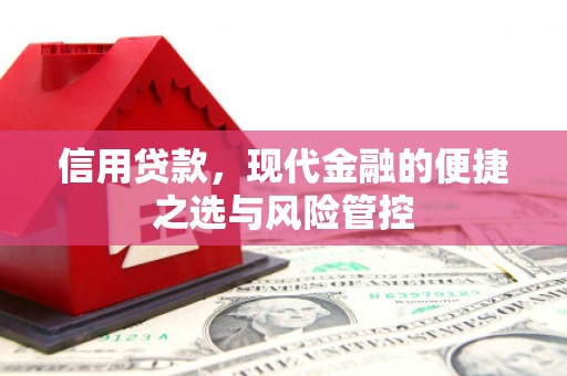 定兴信用贷款，现代金融的便捷之选与风险管控