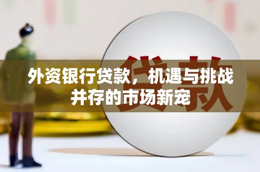 定兴外资银行贷款，机遇与挑战并存的市场新宠