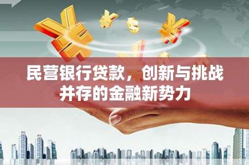 定兴民营银行贷款，创新与挑战并存的金融新势力