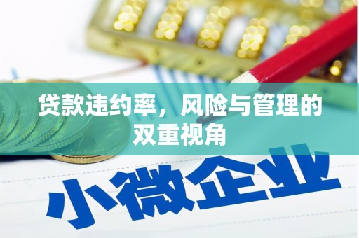 定兴贷款违约率，风险与管理的双重视角