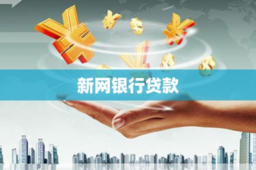 定兴新网银行贷款