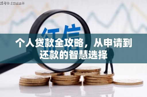 定兴个人贷款全攻略，从申请到还款的智慧选择