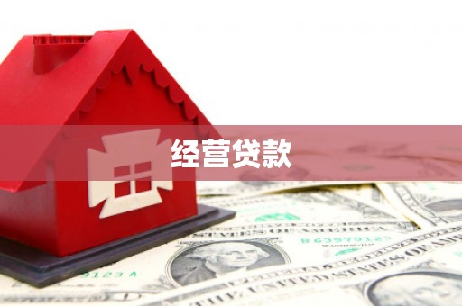 定兴经营贷款