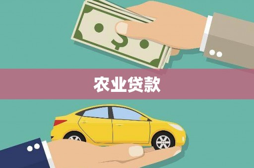 定兴农业贷款