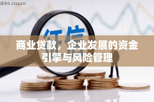 定兴商业贷款，企业发展的资金引擎与风险管理