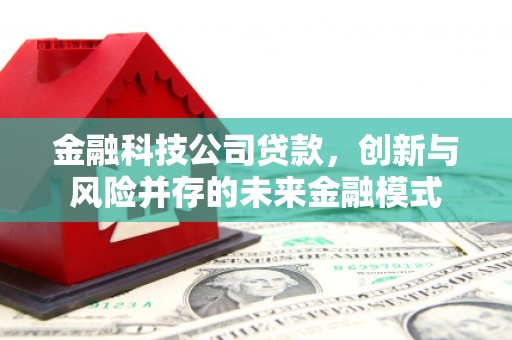 定兴金融科技公司贷款，创新与风险并存的未来金融模式