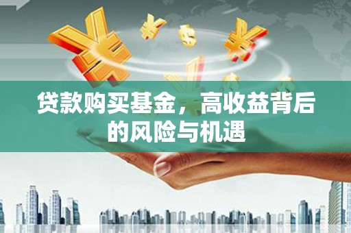 定兴贷款购买基金，高收益背后的风险与机遇
