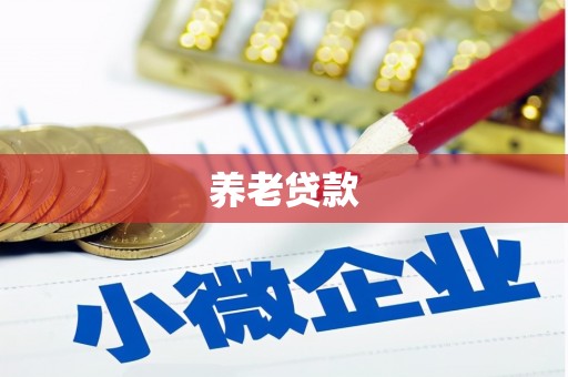 定兴养老贷款
