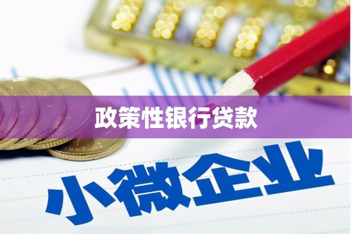定兴政策性银行贷款