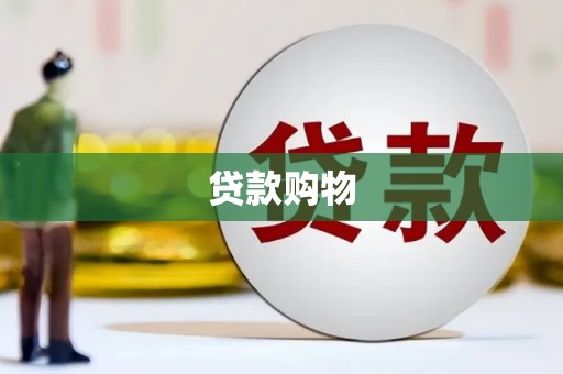 定兴贷款购物
