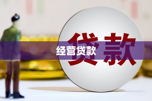 定兴经营贷款