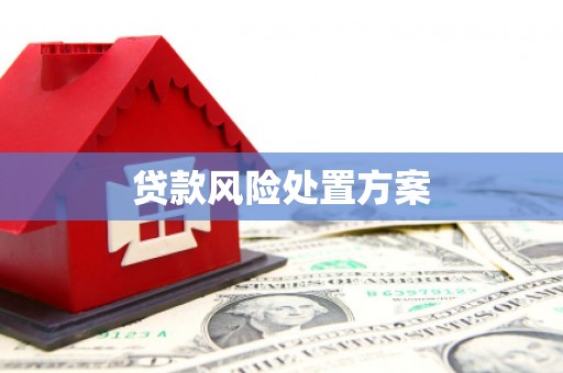 定兴贷款风险处置方案