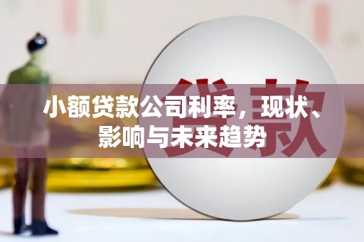 定兴小额贷款公司利率，现状、影响与未来趋势