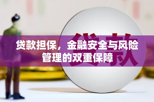 定兴贷款担保，金融安全与风险管理的双重保障