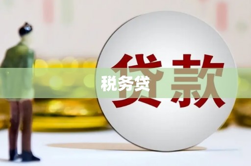 定兴税务贷