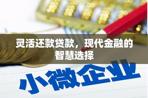 定兴灵活还款贷款，现代金融的智慧选择