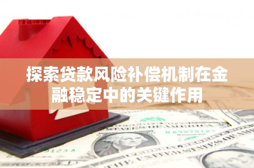 定兴探索贷款风险补偿机制在金融稳定中的关键作用