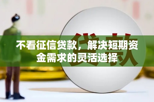 定兴不看征信贷款，解决短期资金需求的灵活选择