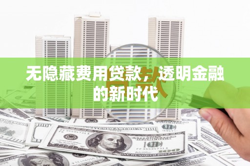 定兴无隐藏费用贷款，透明金融的新时代