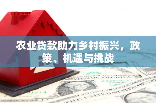 定兴农业贷款助力乡村振兴，政策、机遇与挑战