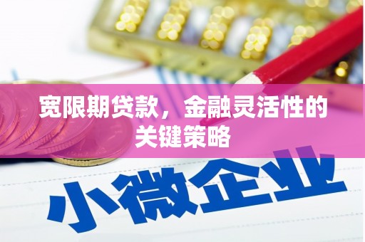 定兴宽限期贷款，金融灵活性的关键策略