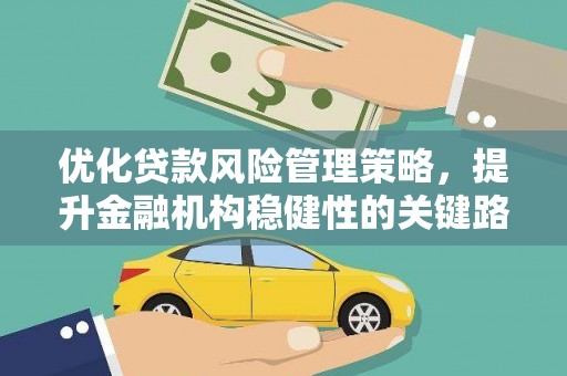定兴优化贷款风险管理策略，提升金融机构稳健性的关键路径