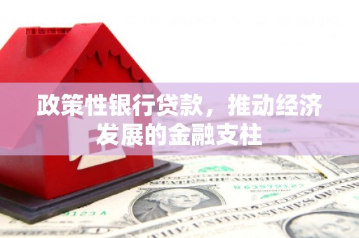 定兴政策性银行贷款，推动经济发展的金融支柱