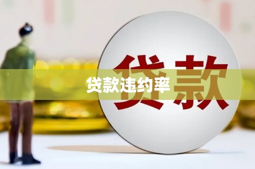 定兴贷款违约率