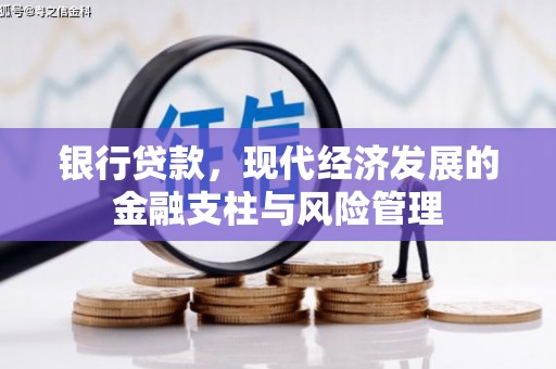 定兴银行贷款，现代经济发展的金融支柱与风险管理