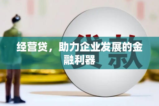 定兴经营贷，助力企业发展的金融利器
