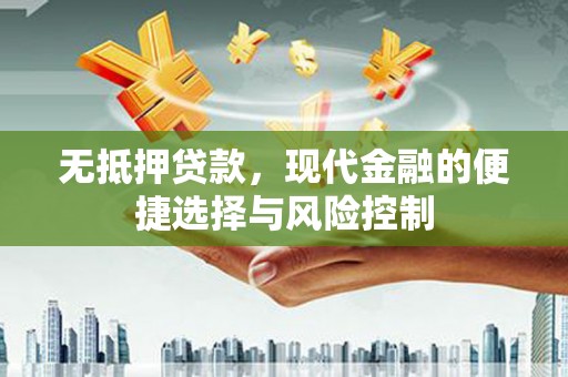 定兴无抵押贷款，现代金融的便捷选择与风险控制