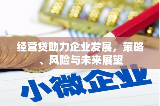 定兴经营贷助力企业发展，策略、风险与未来展望