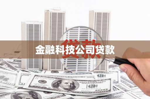 定兴金融科技公司贷款
