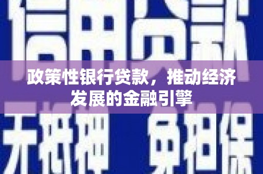 定兴政策性银行贷款，推动经济发展的金融引擎