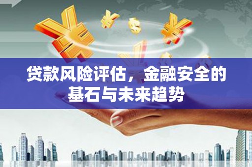 定兴贷款风险评估，金融安全的基石与未来趋势