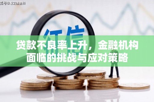 定兴贷款不良率上升，金融机构面临的挑战与应对策略