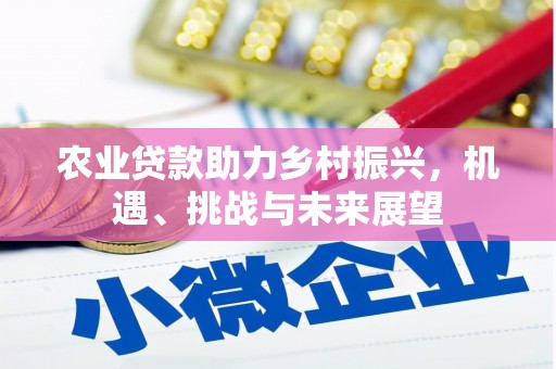 定兴农业贷款助力乡村振兴，机遇、挑战与未来展望
