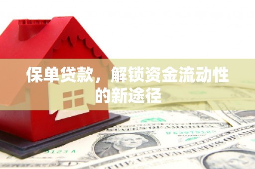 定兴保单贷款，解锁资金流动性的新途径
