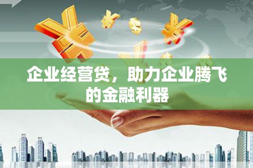 定兴企业经营贷，助力企业腾飞的金融利器