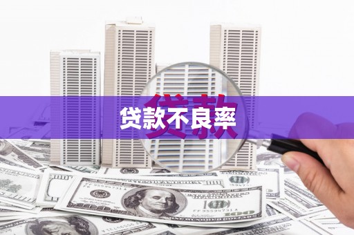 定兴贷款不良率