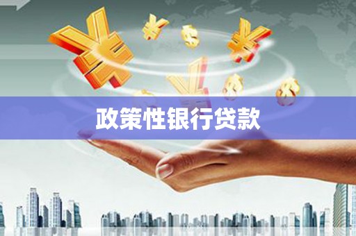 定兴政策性银行贷款