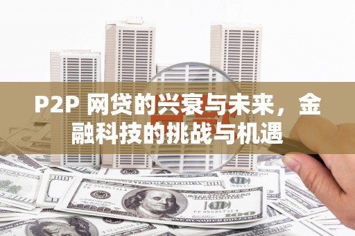 定兴P2P 网贷的兴衰与未来，金融科技的挑战与机遇