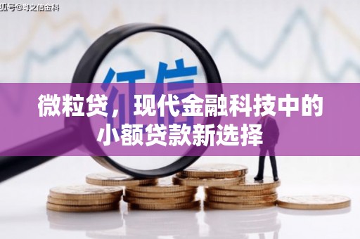 定兴微粒贷，现代金融科技中的小额贷款新选择