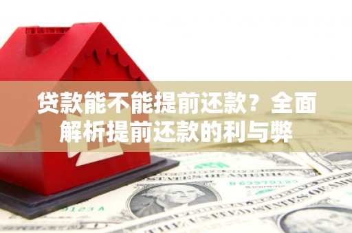 定兴贷款能不能提前还款？全面解析提前还款的利与弊