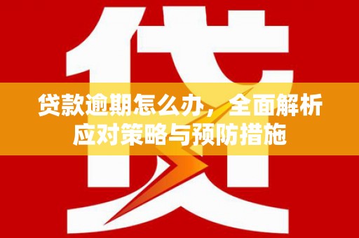 定兴贷款逾期怎么办，全面解析应对策略与预防措施