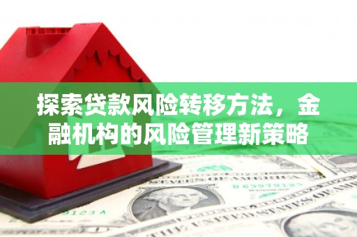 定兴探索贷款风险转移方法，金融机构的风险管理新策略
